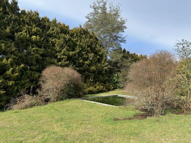 place photo 44