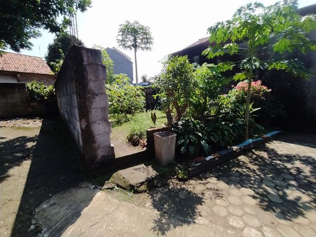 place photo 19