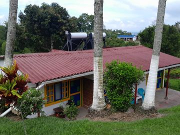 place photo 27