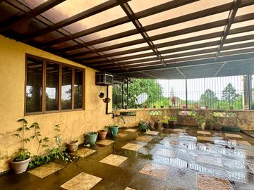 place photo 20
