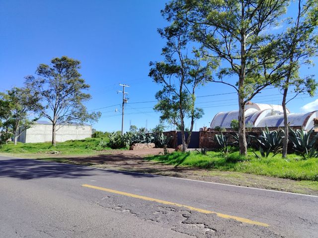 place photo 23