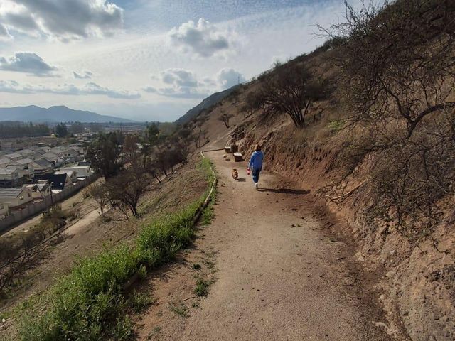 place photo 35