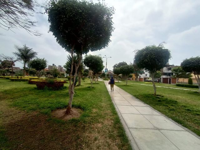 place photo 15