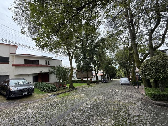 place photo 51