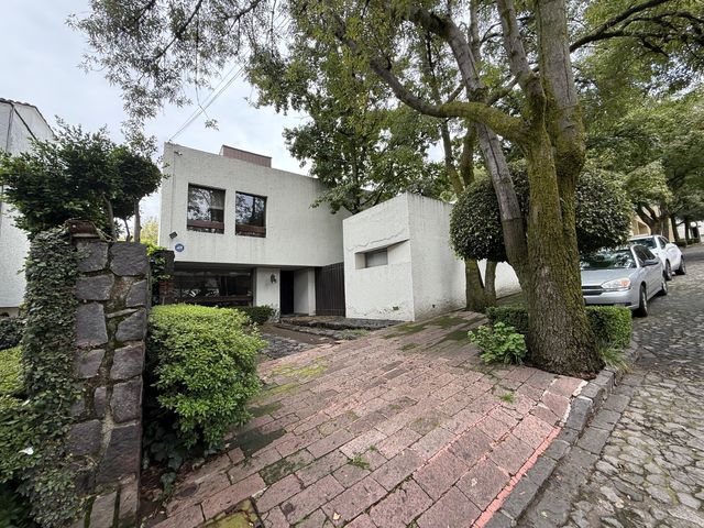 place photo 50
