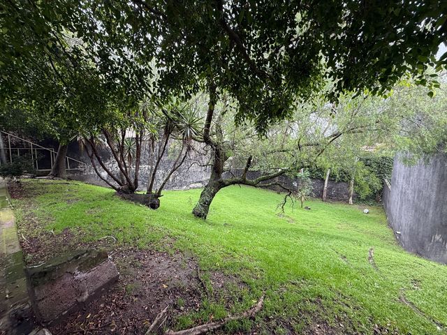 place photo 53