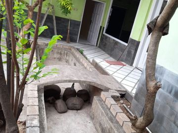 place photo 23
