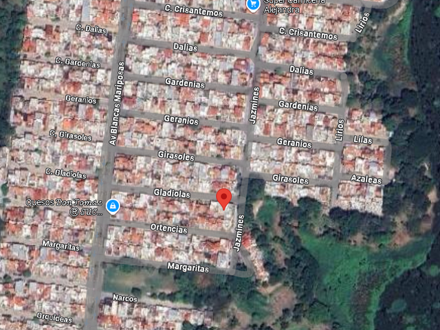 place photo 8