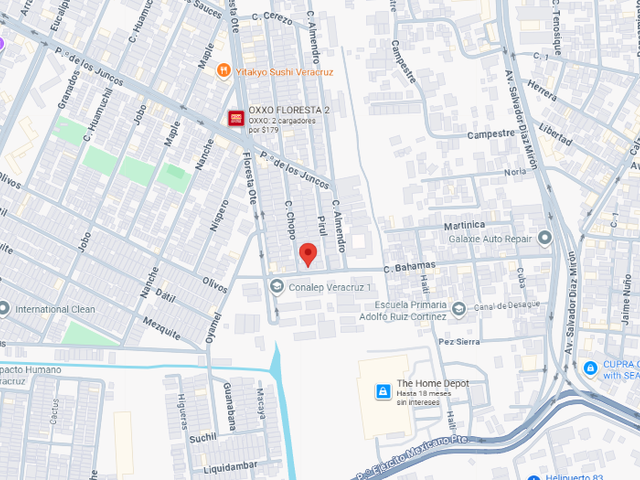 place photo 6