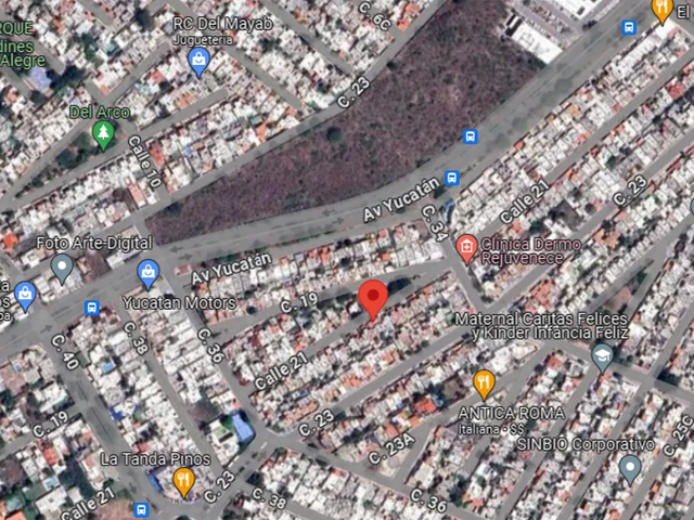 place photo 12