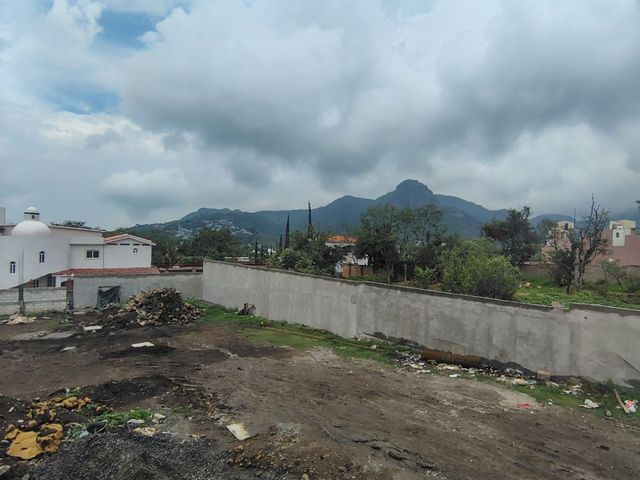 place photo 43