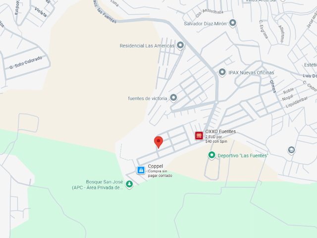 place photo 8