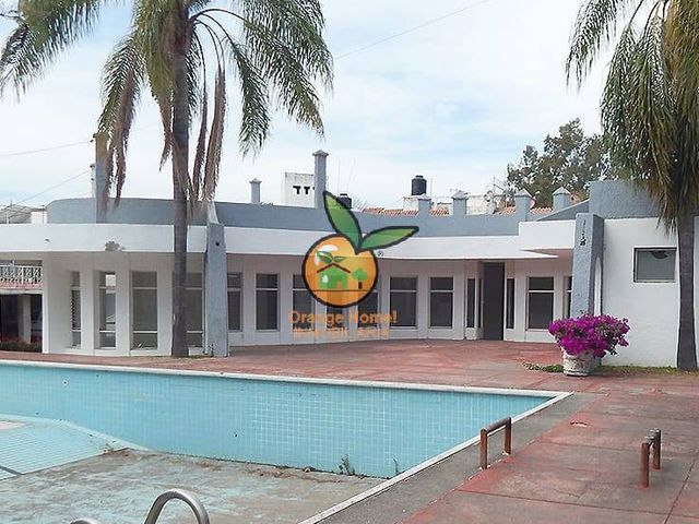 place photo 13