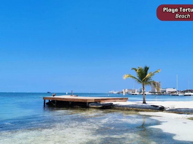 place photo 26