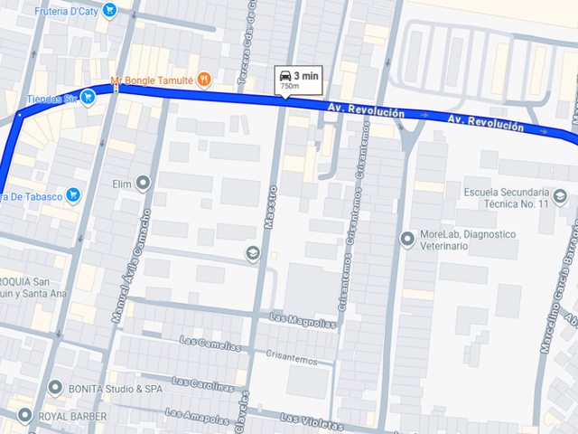 place photo 10