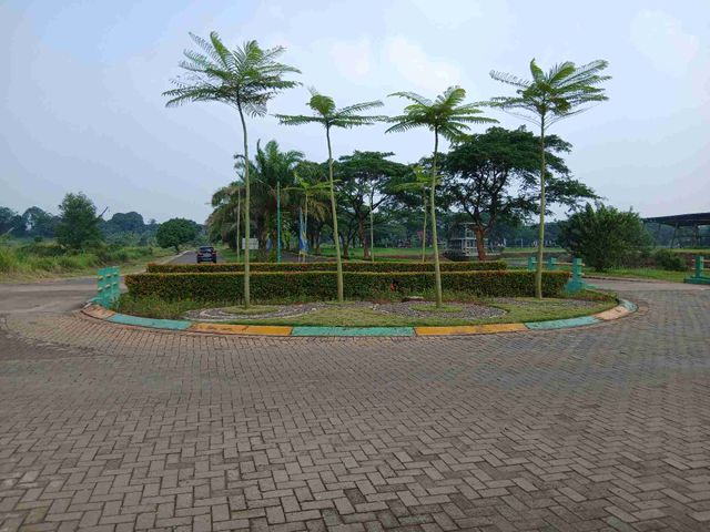 place photo 15
