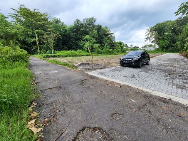 place photo 4