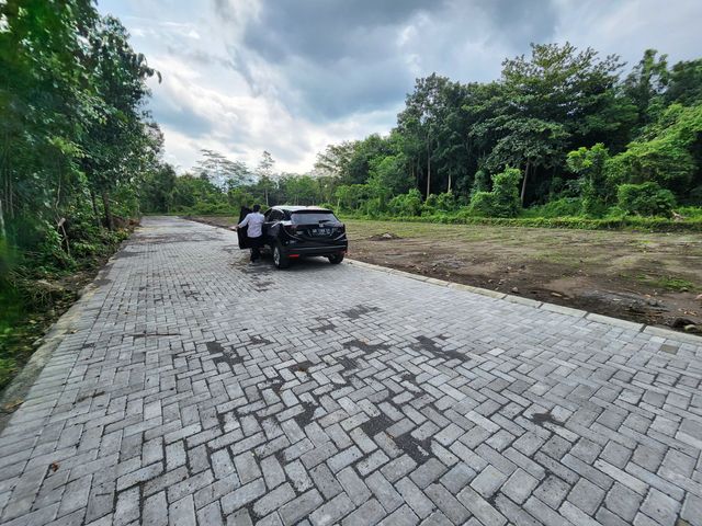 place photo 6