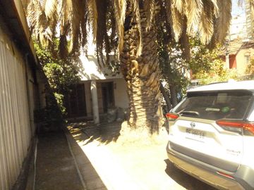 place photo 31