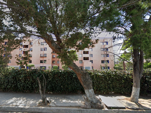 place photo 14