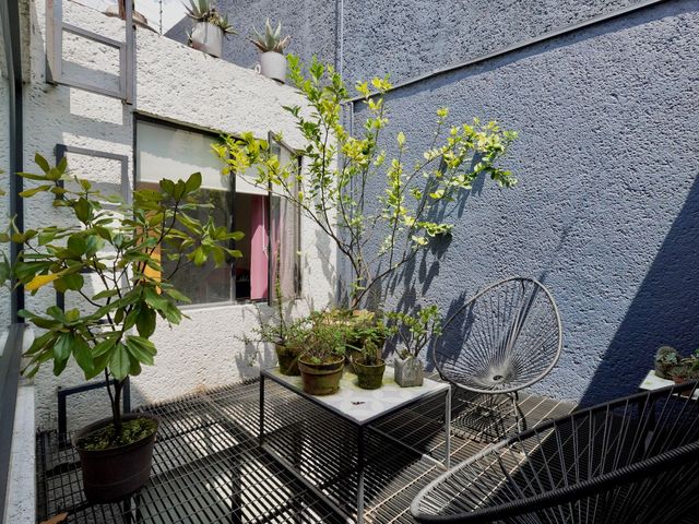 place photo 28
