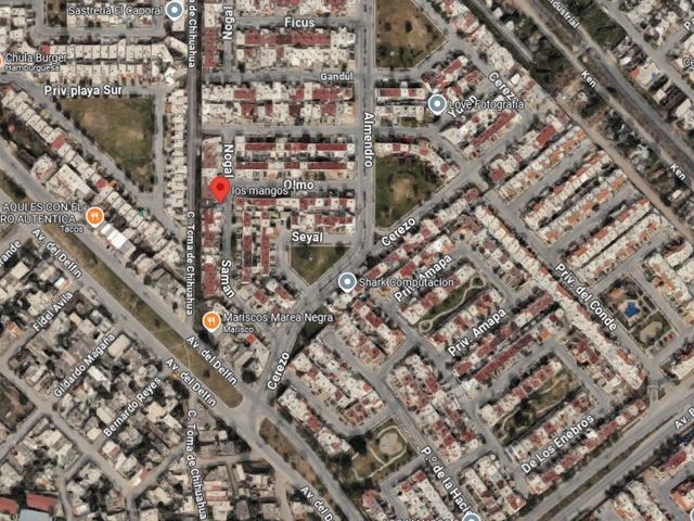place photo 8