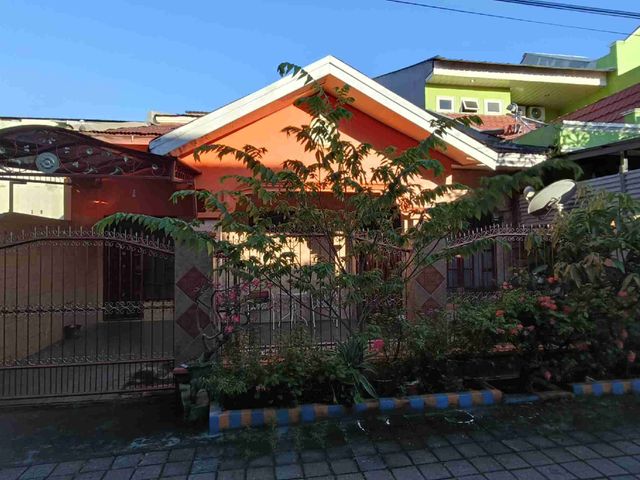 place photo 17