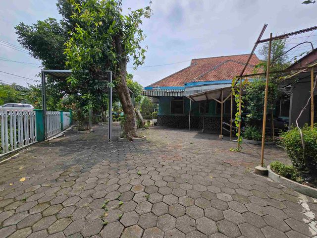 place photo 3