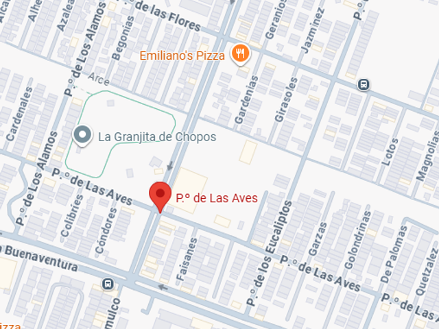 place photo 8