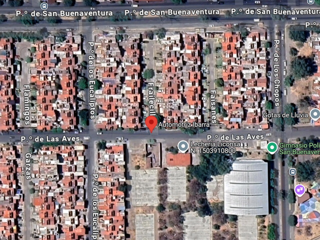 place photo 13