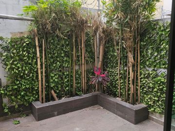 place photo 30
