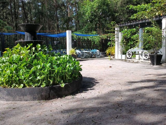 place photo 15