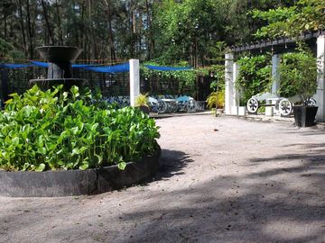 place photo 15