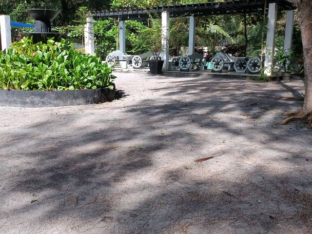 place photo 16