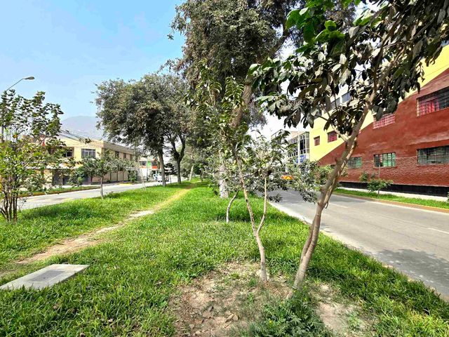 place photo 45