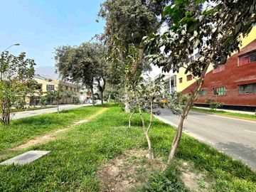 place photo 45