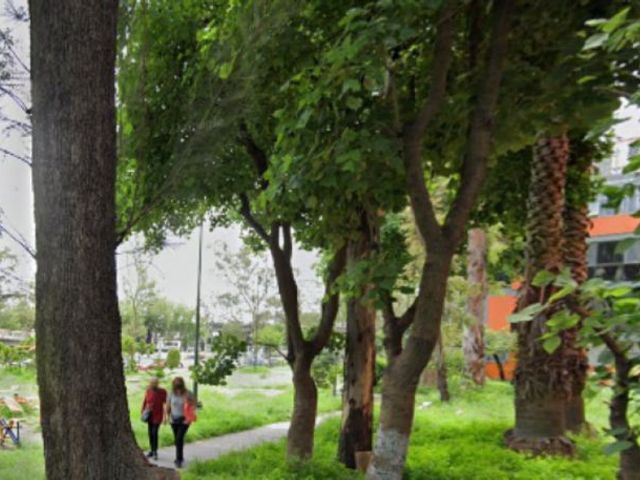 place photo 10