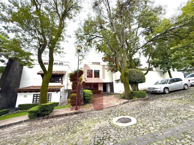 place photo 47