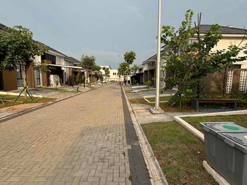 place photo 17
