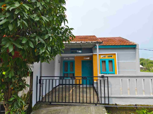 place photo 12