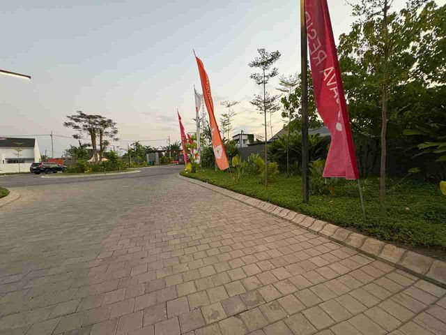 place photo 37