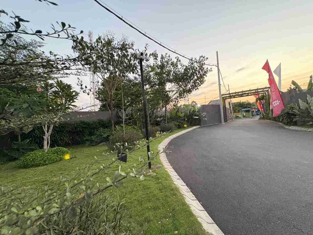 place photo 15