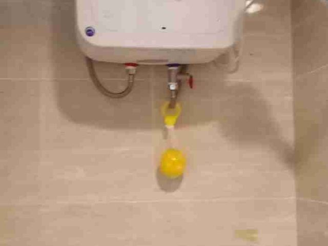 place photo 29