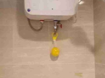 place photo 29