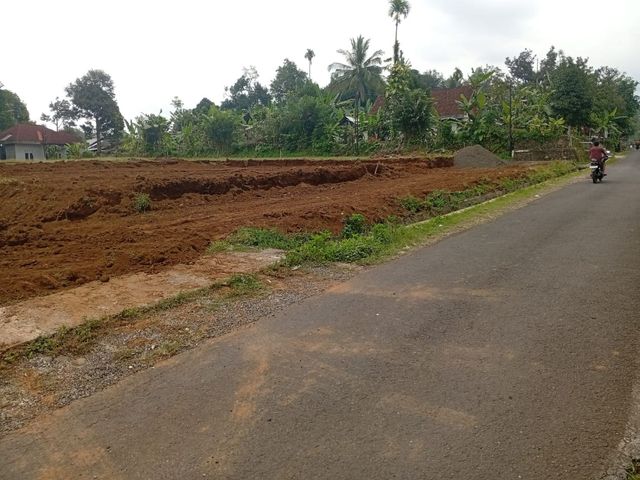 place photo 3