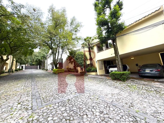 place photo 42