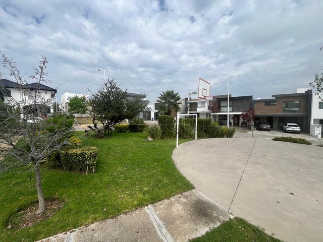 place photo 43