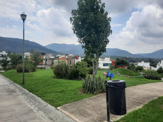 place photo 27
