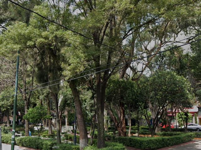 place photo 7