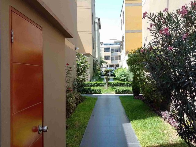 place photo 28